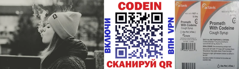 Купить закладки  Петровск  Codein Purple Drank 