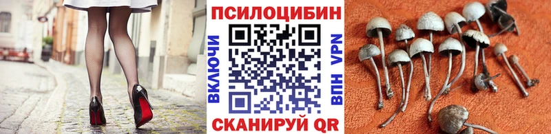 Купить где  Петровск  Псилоцибиновые грибы Magic Shrooms 